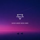 Ducks Under Neon Skies Single