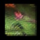 Nocturnal Single