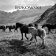 Bukowski Single