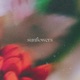 Sunflowers Single