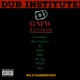 Dub Institute