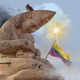H A R D COLOMBIA Single
