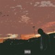 The Setting Sun Single