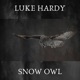 Snow Owl Single