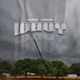 WAVY feat Rxndo Single