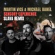 Sensory Experience Slava remix Single