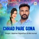 Chhad Pare Gona Single