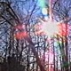 Dissonance Slowed Single