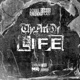 The Art of Life Vol 2