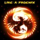Like a Phoenix Single