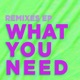 What You Need Remixes Single