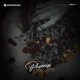 Phoenix Single