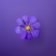 Violet Single