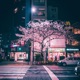 Tokyo Single