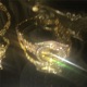 Rollie on It feat Starfoxlaflare Single