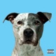 Alive Single