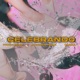 CELEBRANDO Single