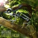 Evolution Factor Single