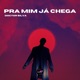 Pra Mim Já Chega Pisadinha Mix Single