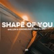 Shape Of You Single