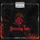 Burning Love Single