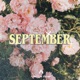 September Single