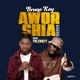 Aworshia Remix Single feat Tulenkey Single