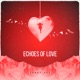 Echoes of Love Single