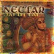 Nectar Live Kirtan Pagan Remixes