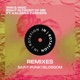 Right in Front of Me feat Kaleena Zanders Remixes Single