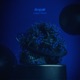 despair Single