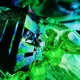 Dietmtndew Single