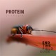 Protein Single