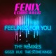 Feelings for you EP Remixes