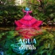 Agua Single