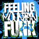 FEELING MOUNTAIN FUNK EP