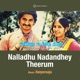 Nalladhu Nadandhey Theerum Original Motion Picture Soundtrack Single