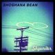 Skywriter Single