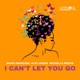 I Can t Let You Go Single