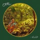 Opal EP