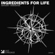 Ingredients for Life Single