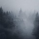 Wake Up to Snow Single