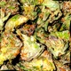 Loaded Single