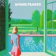 Indoor Plants Single