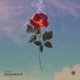 Dangerous Single