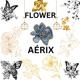 FLOWER Single