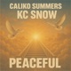 PEACEFUL feat Kc Snow Single