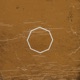 Octagon Single