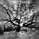 Time Flies Single