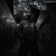 6ixz cypher feat Trippy 1okumle Single